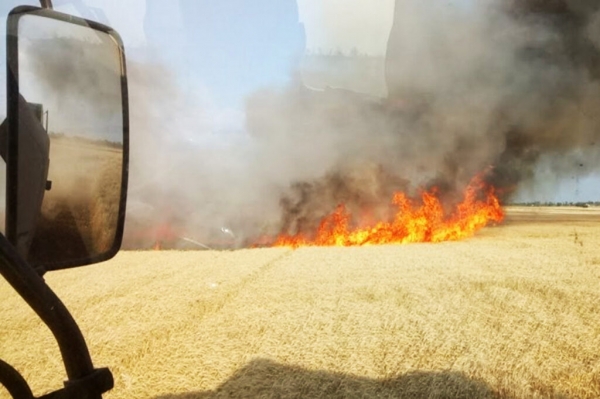 В двух областях Украины пожар уничтожил поля с пшеницей. Фото