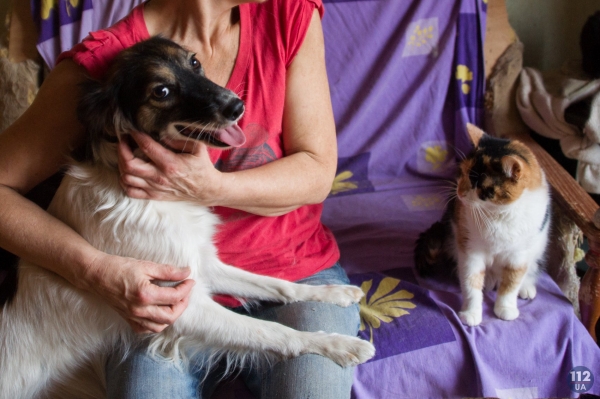 Киевлянка одна спасает от смерти десятки кошек и собак. Ей надо помочь