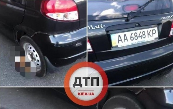 В Киеве водитель оставил труп кота под авто. 18+