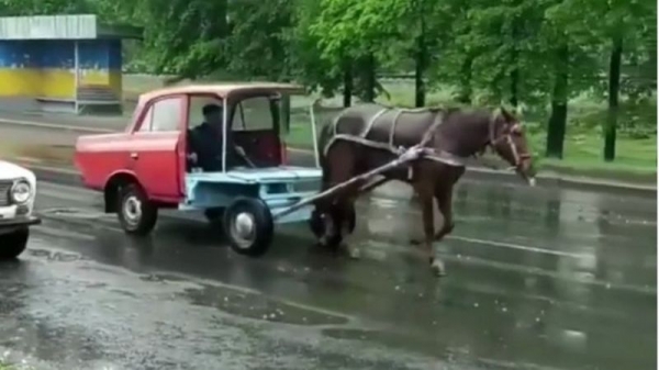 В Ровно лошадь впрягли в половину «Москвича». Видео