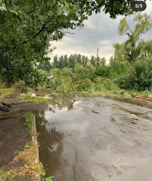 На Донбассе бушевала стихия: последствия непогоды. Фото