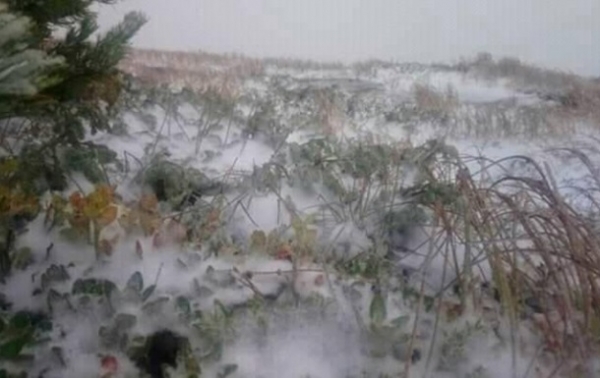     Погода в Украине - в Карпатах выпал снег - новости Украины    