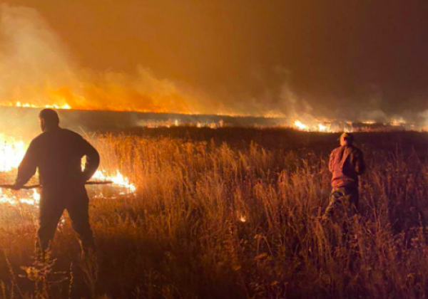     Пожары в Луганской области - в МВД назвали причину - новости Украины    