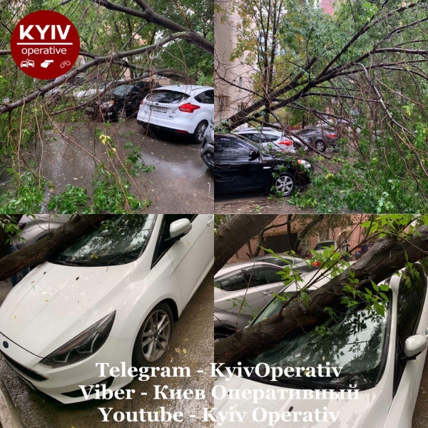 Из-за непогоды в Киеве затопило улицу и повалило дерево на автомобили