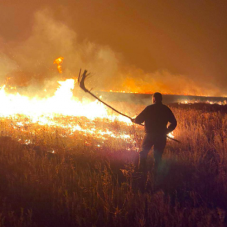     Почему Украину терроризируют пожары - климатолог - новости Украины    