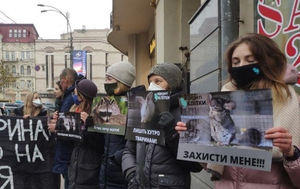 Активисты вышли на акцию в Киеве ко Всемирному дню без меха