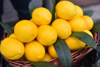     Лимон витамин С – Эксперт указала на пургу насчет лимона - новости    