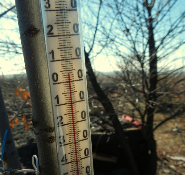 Погода как в начале ноября: 24 января в Киеве зафиксировали два температурных рекорда