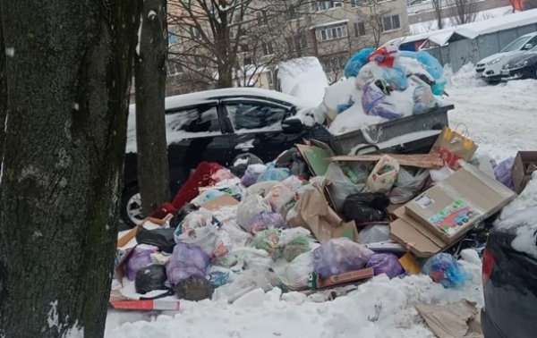 Опубликованы фото "мусорного коллапса" в Киеве