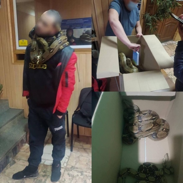 По Киеву разгуливал нетрезвый мужчина со змеями на шее - соцсети