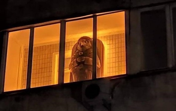 На балконе киевской многоэтажки заметили "египетский саркофаг"