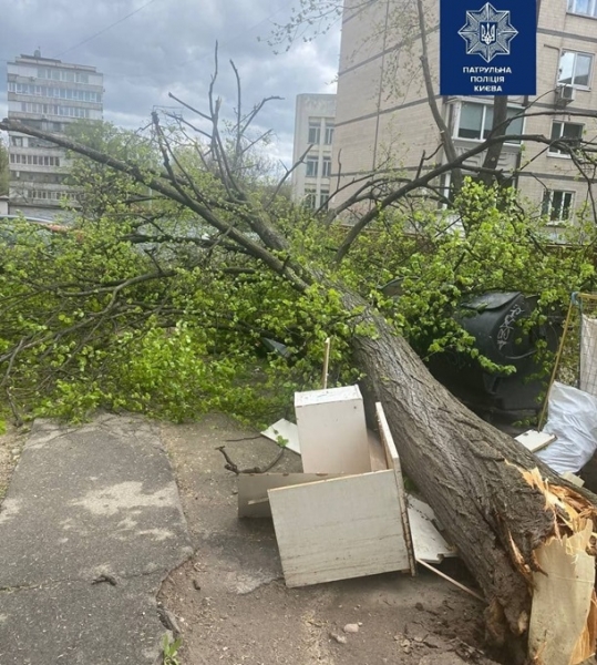 Сильный ветер в Киеве сломал пару деревьев