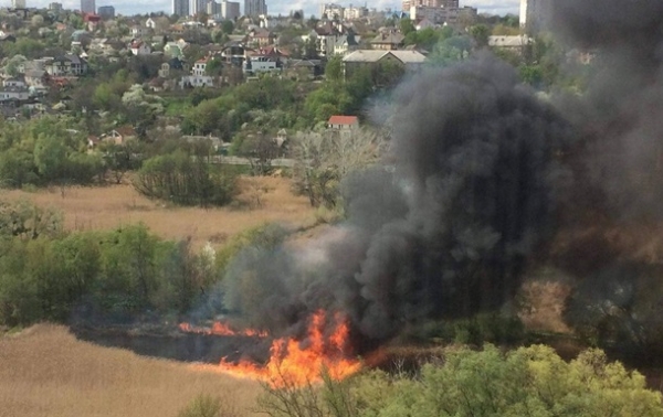 В Киеве возник пожар в парке Совские пруды