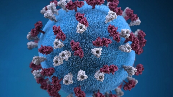 Эксперт рассказал, сколько пиков коронавируса еще предстоит преодолеть Украине