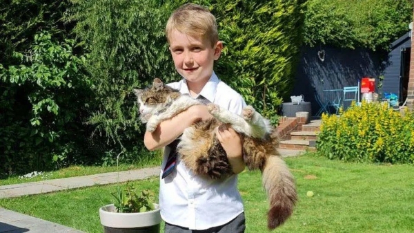 В Англии кот вернулся домой после «кремации»