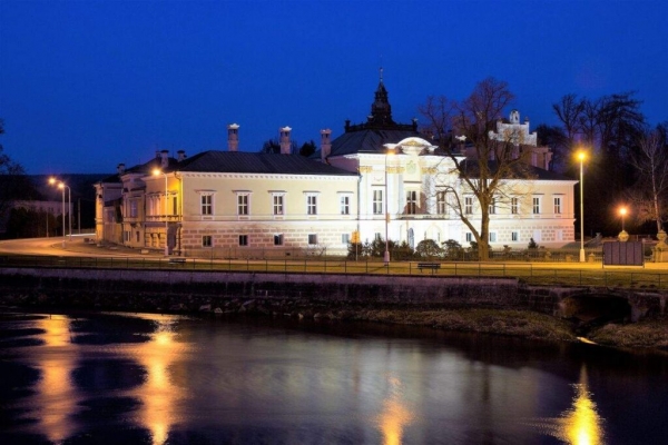 В Чехии готическую резиденцию продают за 4 миллиона евро: как она выглядит. Фото