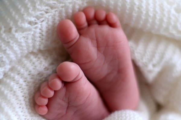 В Британии новорожденный унаследует особняк за 444 миллиона долларов. Фото