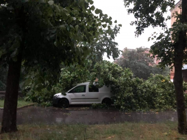 В Сети показали последствия урагана в Ровно. Фото