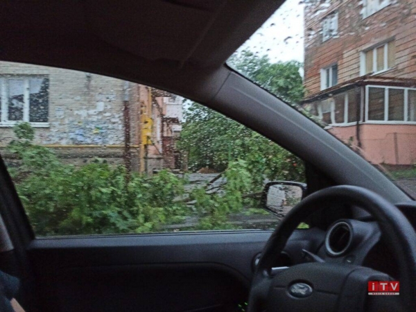 В Сети показали последствия урагана в Ровно. Фото