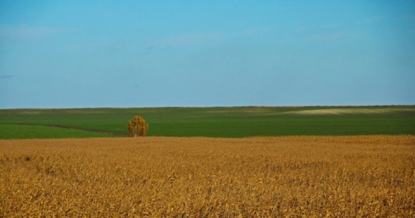 Названы регионы, в которых скупают землю активнее всего