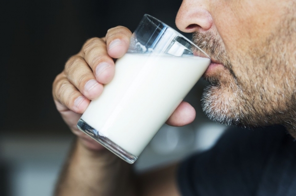 Развенчаны популярные мифы о пользе и вреде молока