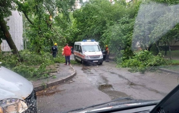 Непогода в Киеве: повалены около 150 деревьев
