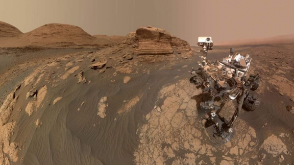 Сможет ли человечество выращивать растения на Марсе в теплицах, — ученые ответили