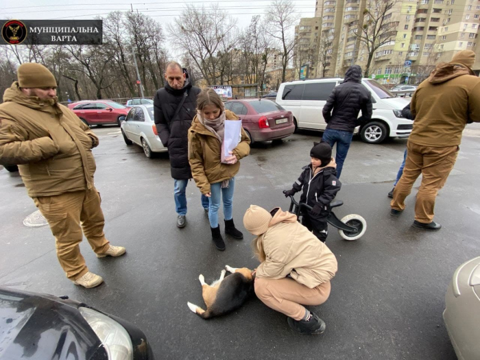 Возле парка КПИ муниципалы остановили транспорт, чтобы спасти сбитую собаку