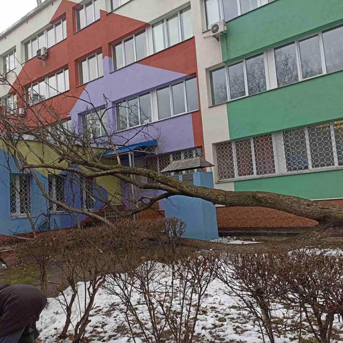 Начиная со вчерашнего дня ветер повалил в Киеве почти 80 деревьев