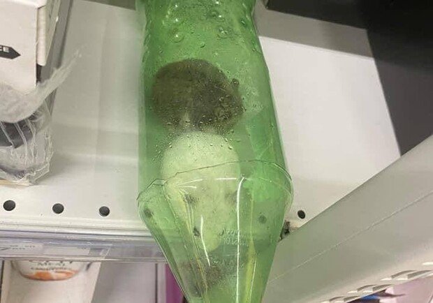 В гипермаркете в Киеве возле кошачьего корма нашли бутылку с хомяками. 