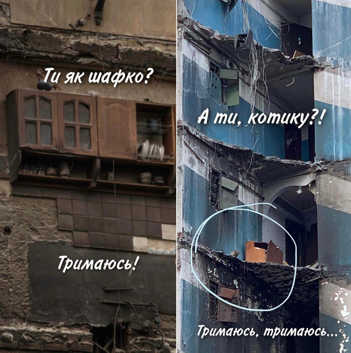 В Бородянке с 7 этажа разрушенного дома спасли кошку фото 1