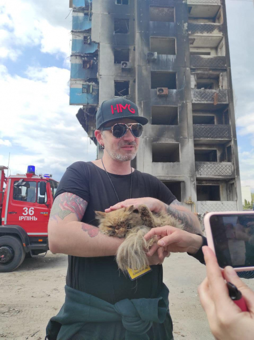 В Бородянке с 7 этажа разрушенного дома спасли кота.