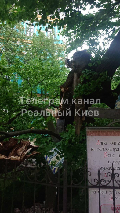 Из-за сильной грозы в Киеве и области пропал свет и повалились деревья.