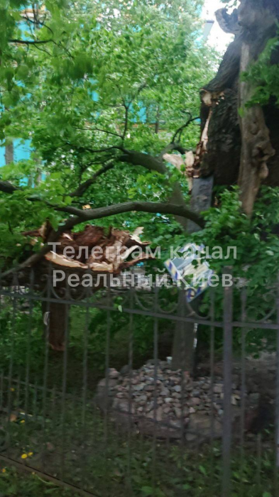 Из-за сильной грозы в Киеве и области пропал свет и повалились деревья.