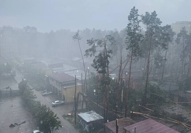 В Киеве и области непогода ломает деревья и затапливает улицы. 