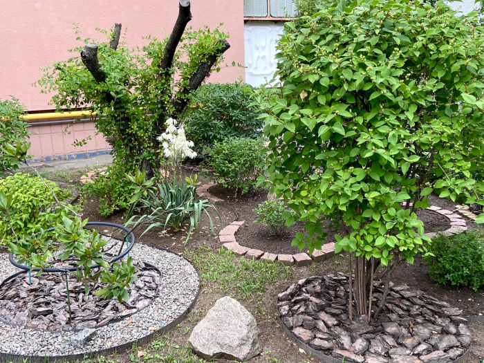 В Дарницком районе киевлянка создала небольшой сад во дворе.