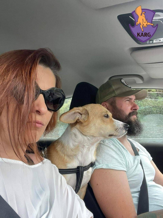 Пес, якого знайшли пораненим в Ірпені, поїхав у нову родину в Португалії.