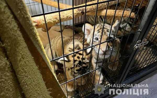 У Києві поліцейські вилучили 400 екзотичних тварин