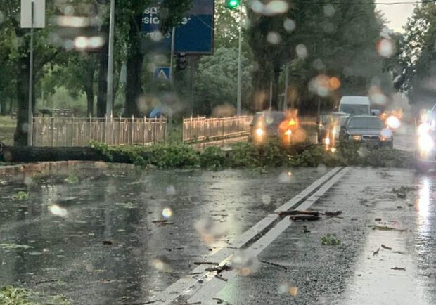 У Києві через негоду впали дерева та пошкодилися лінії електропередач. 