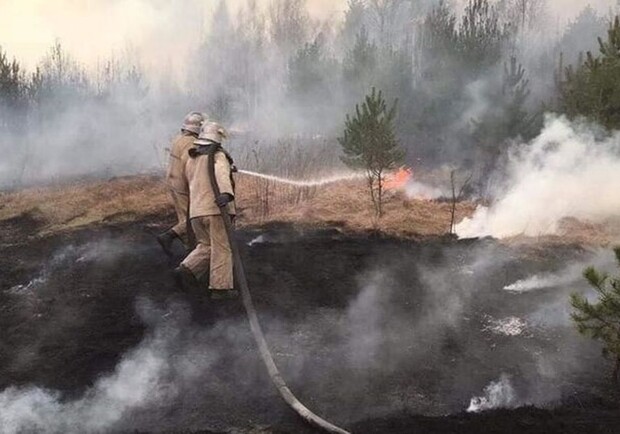 Яка ситуація з торф'яними пожежами у Київській області 