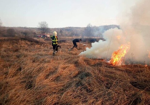 Запах гару у Києві: торф'яні пожежі у Київській області тривають. 