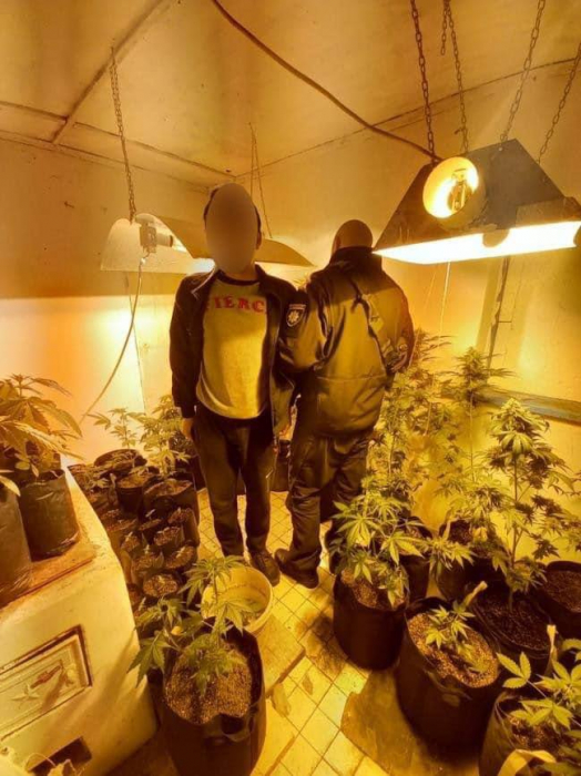 Під Києвом у приватному подвір’ї виявили плантацію марихуани.