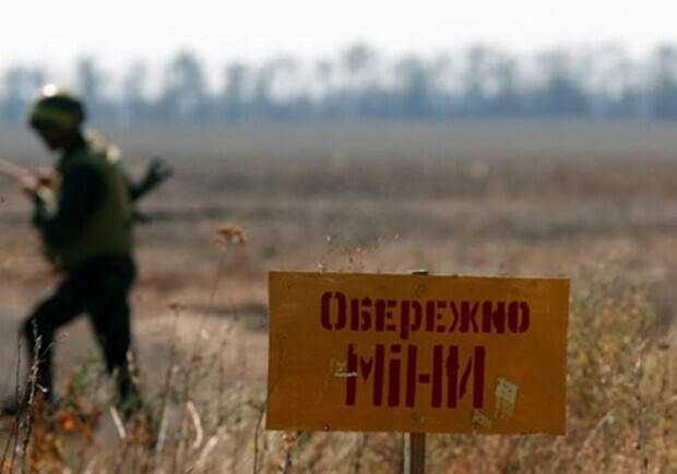 До лісів Київської області не можна буде ходити через міни ще мінімум рік. 