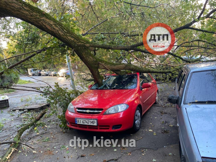 У Києві через негоду впали дерева та пошкодилися лінії електропередач.