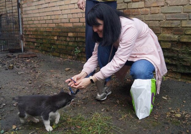 У Бучі родина взяла собі цуценя в поліцейському відділку. 