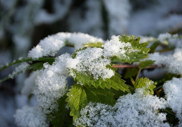 У Києві завтра очікується сніг, а наступного тижня – похолодання. 