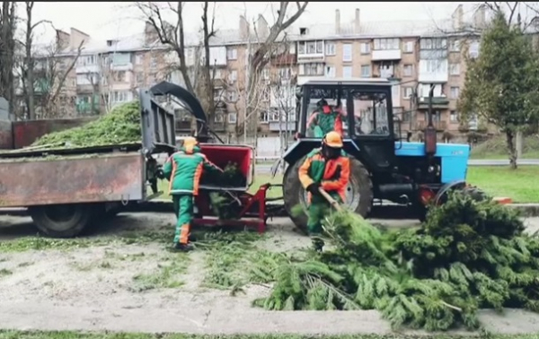 У Києві створять 17 пунктів утилізації ялинок