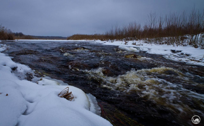 У Чорнобильській зоні стрімко піднявся рівень води у річці.