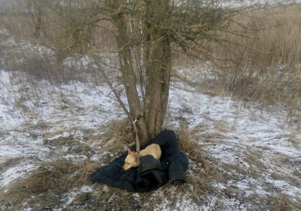 На Київщині чоловік ціною свого життя врятував собаку, що провалилася під кригу. 