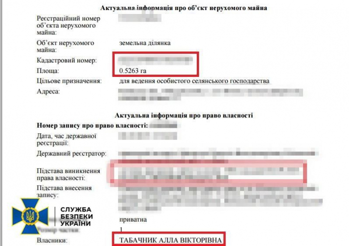 СБУ арештувала київське майно та рахунок екс-міністра освіти Табачника